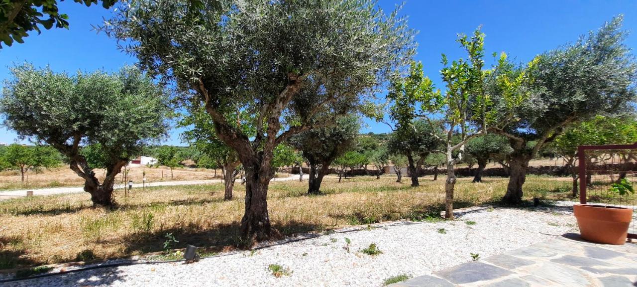 Quinta Da Soneca Leilighet Alandroal Eksteriør bilde